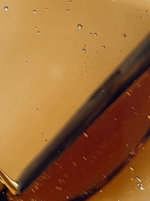 CHAGA CHARGING DROP SERUM