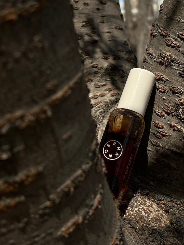 CHAGA CHARGING DROP SERUM