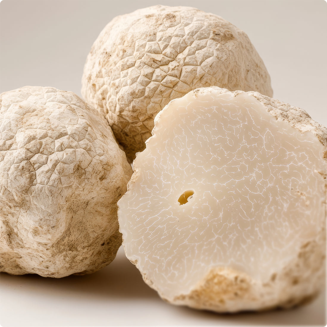 Konjac