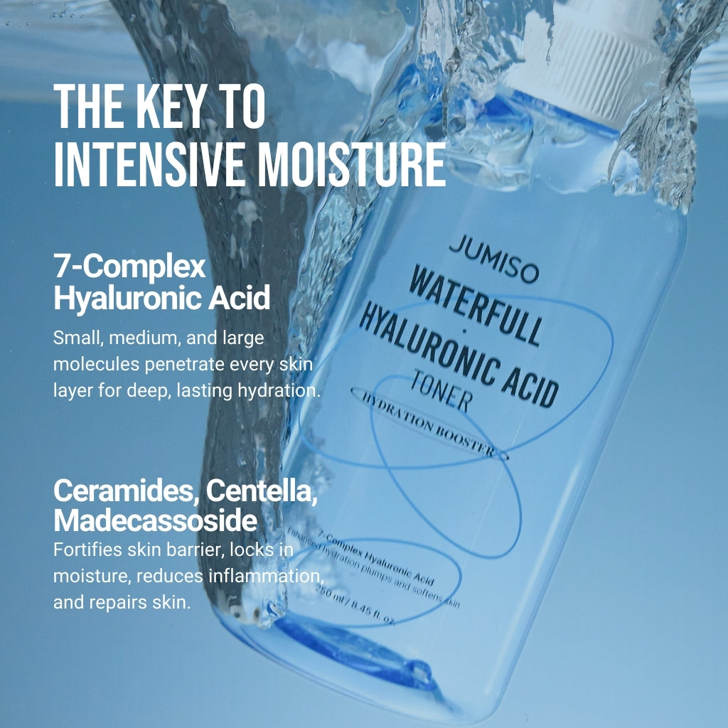Waterfull Hyaluronic Toner 8.45 fl oz