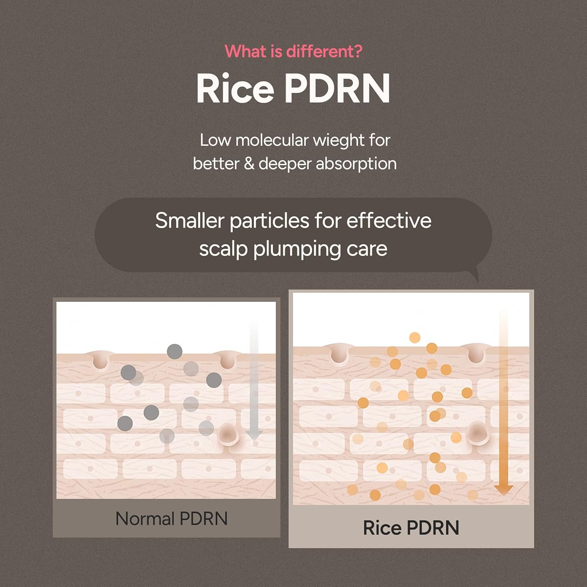 Rice PDRN Scalp Serum 2.02 fl oz