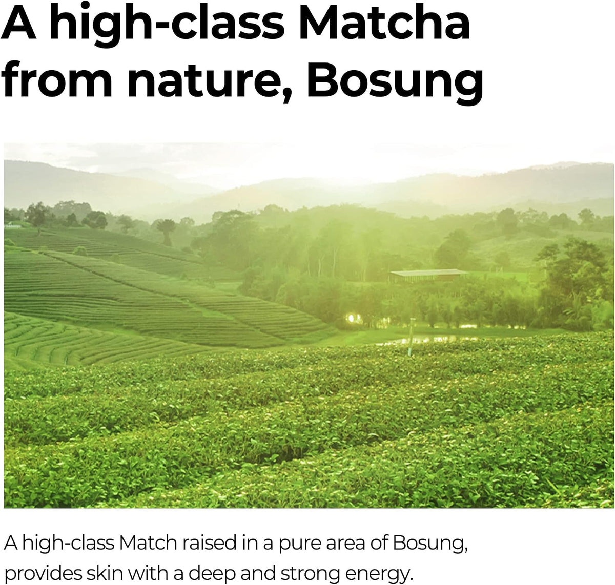 Super Matcha Pore Tightening Toner 5.07oz