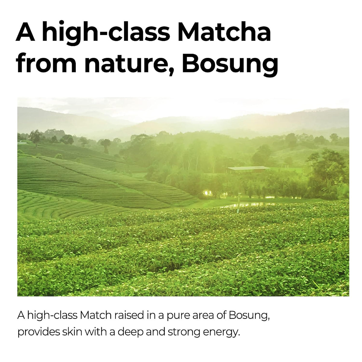 Super Matcha Pore Tightening Serum 1.69 fl oz