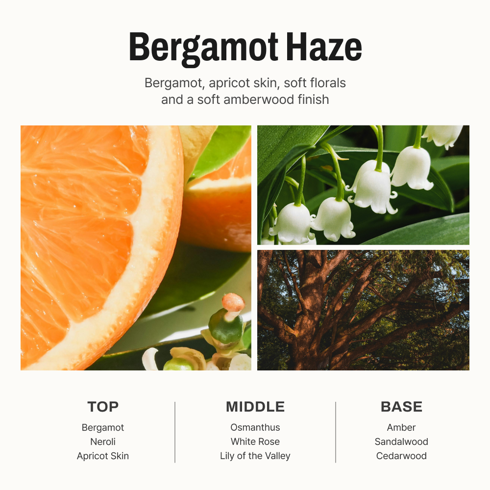 Bergamot Haze Diffuser 5.07 fl oz