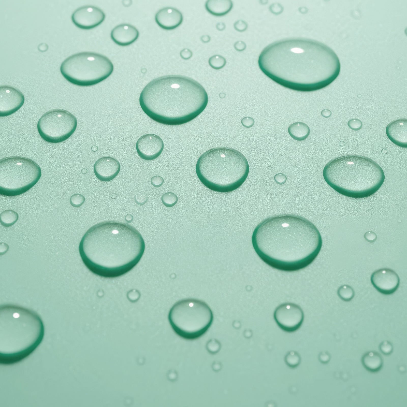 CAMELLIA DEW TONER