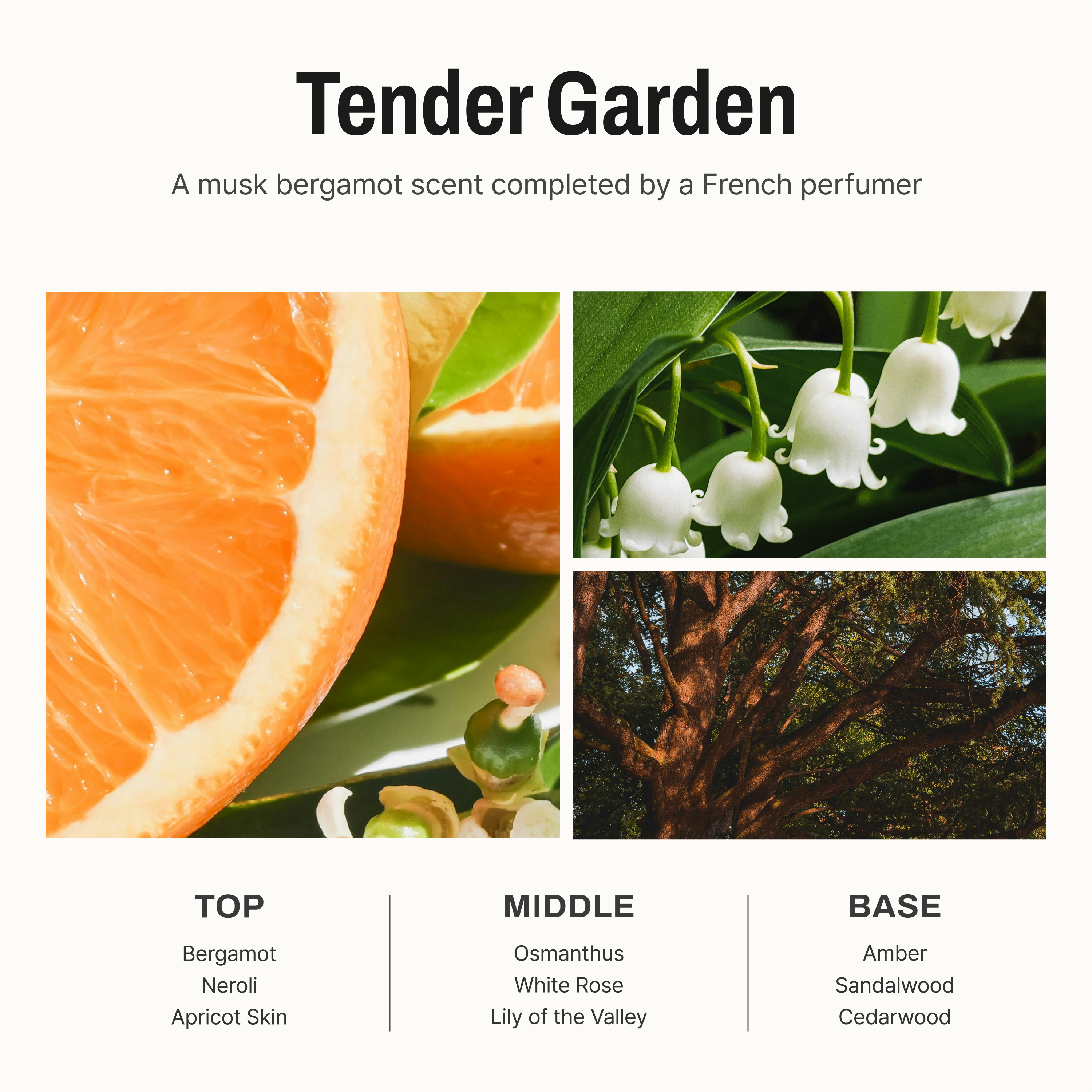 Comfort Hand Cream Tender Garden 1.01 fl oz