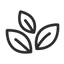 Eve Vegan