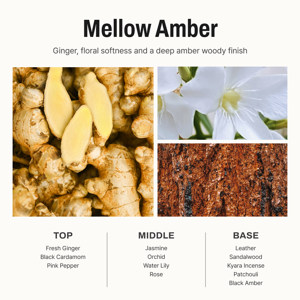 Mellow Amber Diffuser 5.07 fl oz