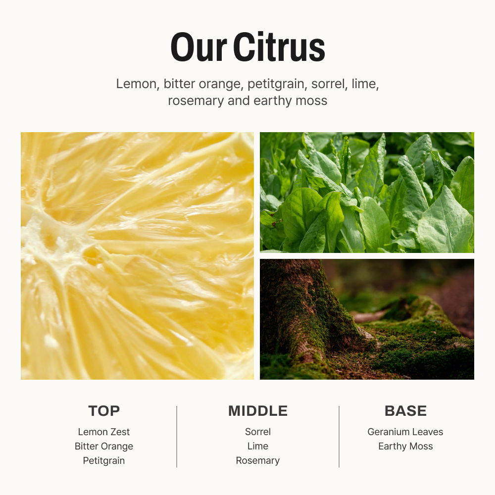 Our Citrus Diffuser 5.07 fl oz