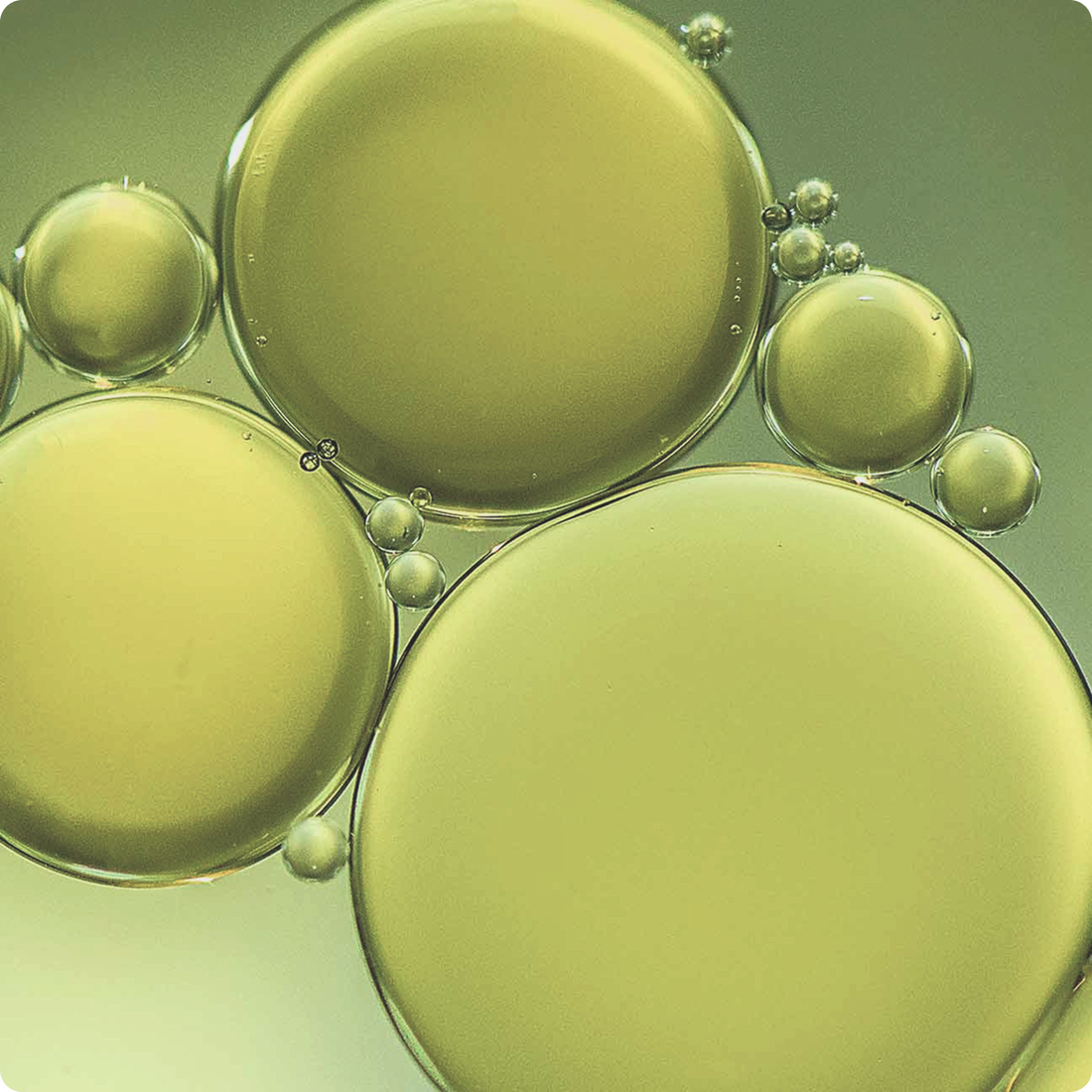 Hemp Seed Oil