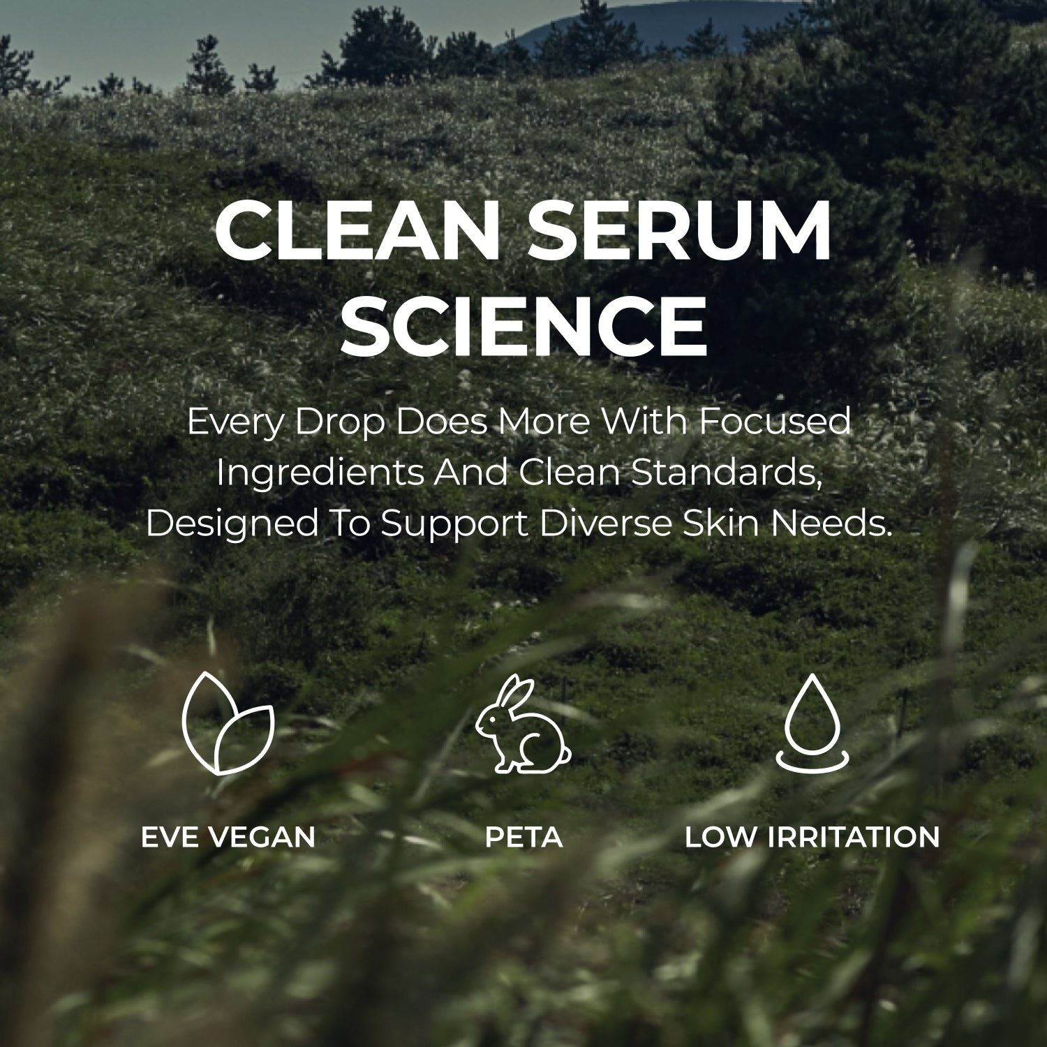Chaga Charging Drop Serum