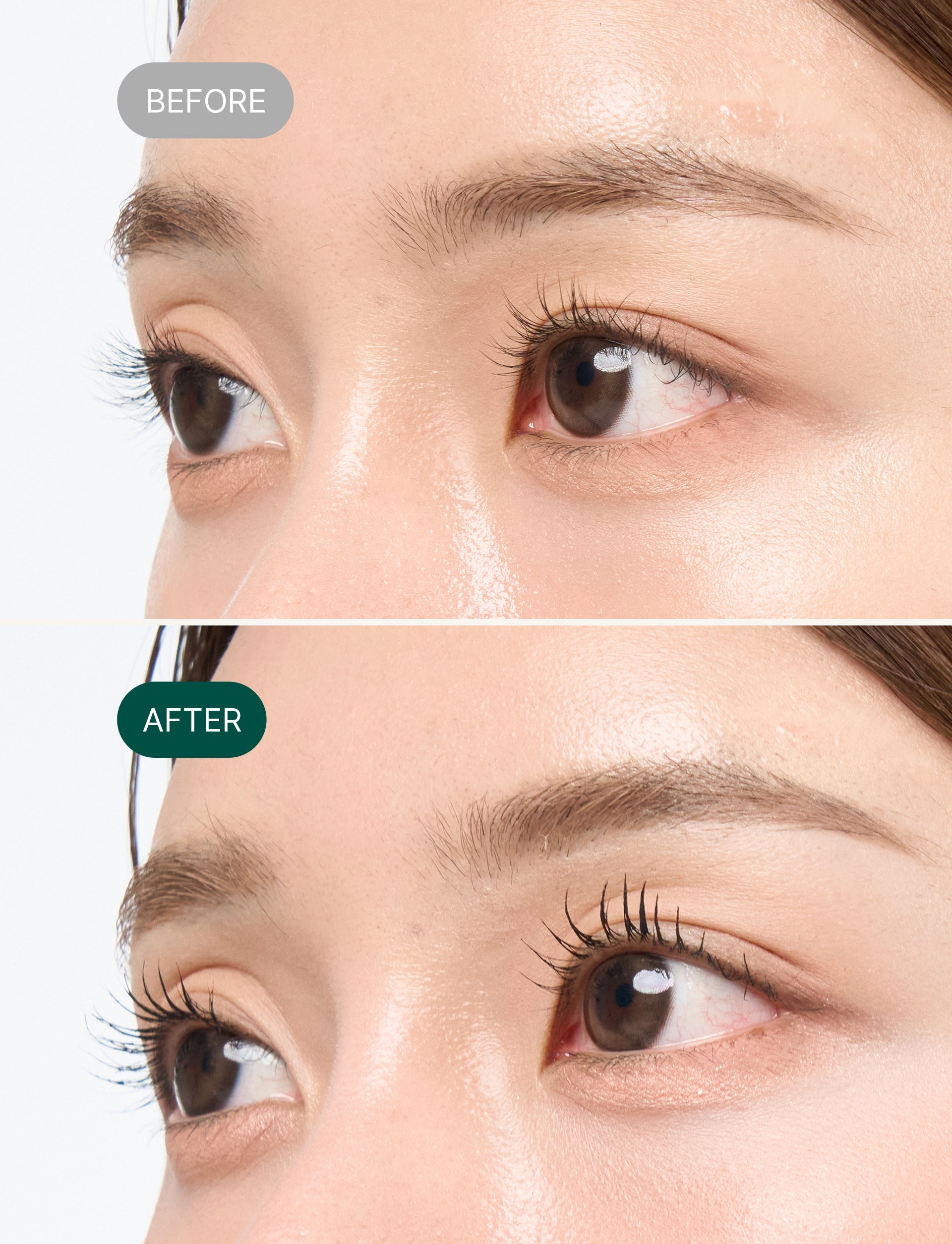 Black Tinted Peptide Lash Serum 1oz